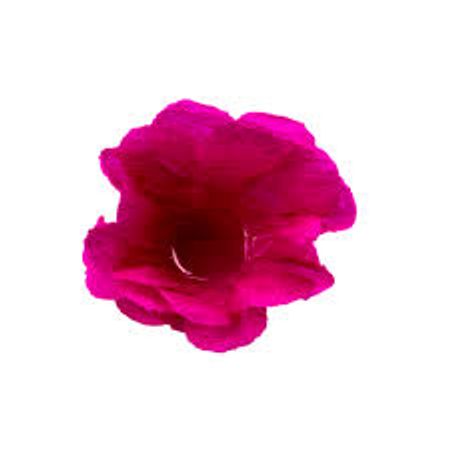 Forminha Decorativa Pink