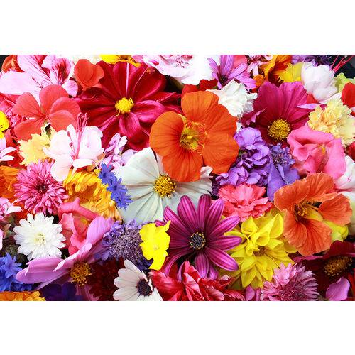 Fundo Fotográfico Tecido Flores Coloridas 2,60m X 1,70m