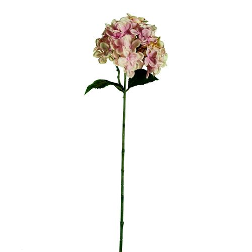 Galho de Hortênsia Rose 62cm