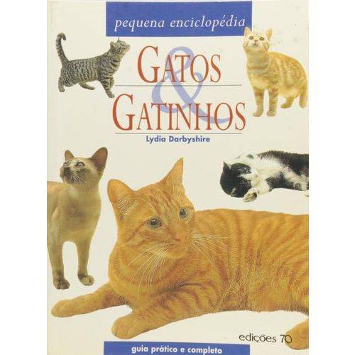 Gatos & Gatinhos
