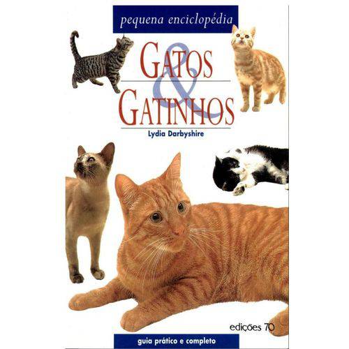Gatos & Gatinhos