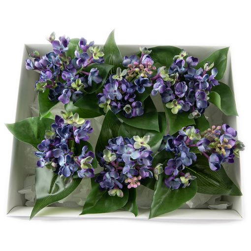 Gift Set Lilac Azul