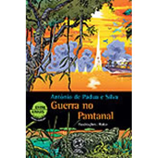 Guerra no Pantanal - Atual