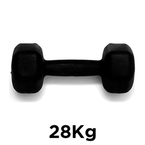 Halter Sextavado Emborrachado - 28Kg 28kg