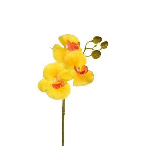 Haste Orquídea Real Toque X3 Amarelo - Grillo