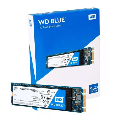 HD SSD M.2 250GB Blue Sata3 Western Digital | WDS250G1B0B-00AS40 2082