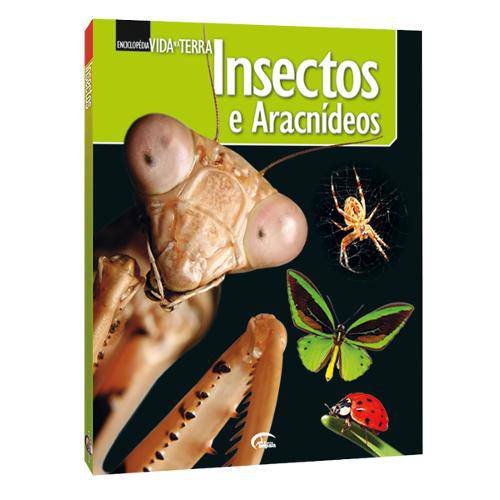 Insectos e Aracnídeos