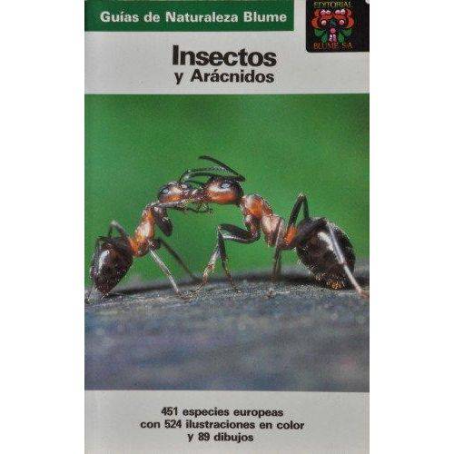 Insectos Y Aracnidos