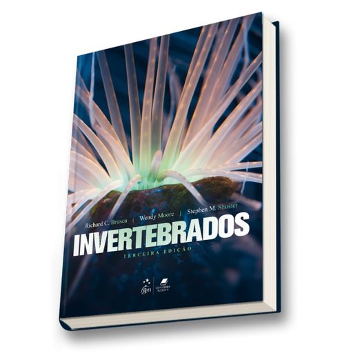Invertebrados - Guanabara