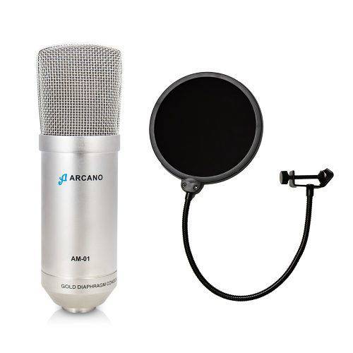Kit 01 Microfone Arcano Am-01 (st-01) + 01 Pop Filter Amf1