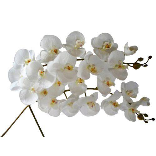 Kit 6 Orquídeas Grandes em Silicone Toque Real