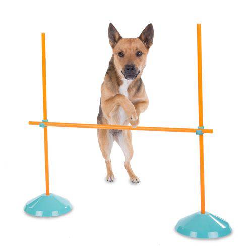 Kit Agility Indoor Zip Zoom para Cachorro - Adestramento