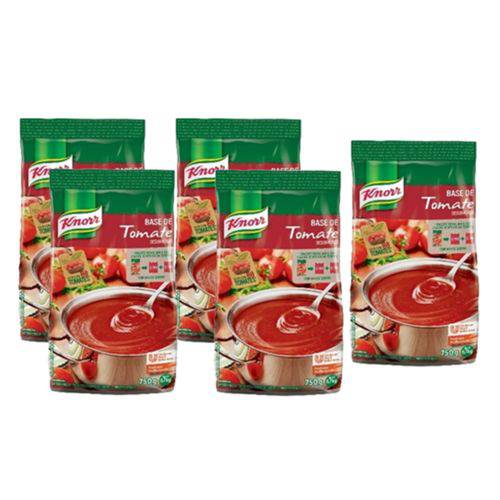Kit com 5 Base de Tomate Desidratado Knorr 750g Cada