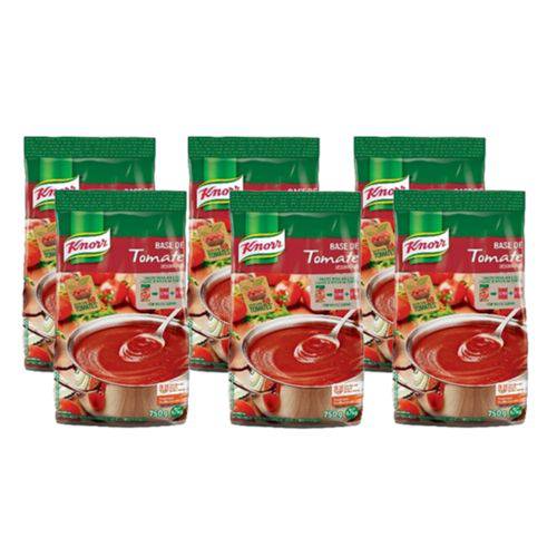 Kit com 6 Base de Tomate Desidratado Knorr 750g Cada