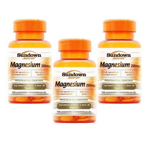 Kit com 3 Magnesium 250mg - Sundown Vitaminas - 100 Cápsulas