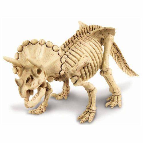 Kit de Escavação 3Dcomex Triceratopos