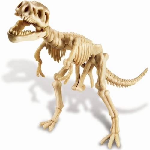 Kit de Escavaçãotiranossauro Rexd