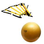 Kit Escada de Agilidade com 10 Degraus Pretorian Ec-pp + Bola de Exercícios Fit Ball Training 75cm