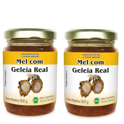 Kit 2 Mel com Geleia Real 440g Melcoprol