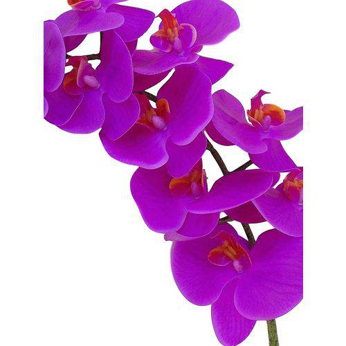 Kit 2 Orquídeas Pink em Silicone Toque Real