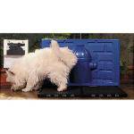 Kit Pipi Dollys Sanitário Luxo para Cães Machos - Azul com Acessório Azul
