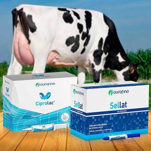 Kit Tratamento de Mastite Ourofino - 24 Ciprolac Vaca Lactação + 24 Sellat