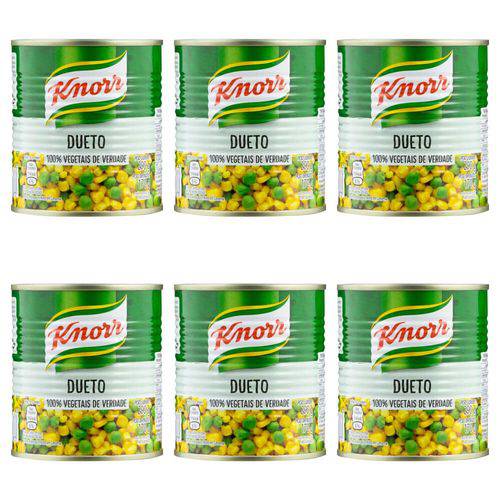 Knorr Dueto Conserva 170g (kit C/06)