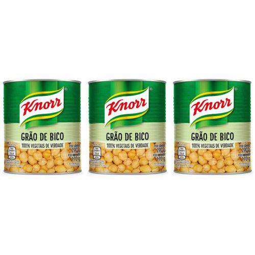 Knorr Grão de Bico Conserva 170g (kit C/03)