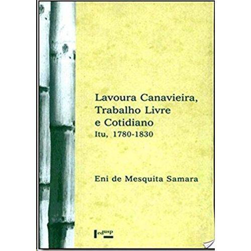 Lavoura Canavieira, Trabalho Livre e Cotidiano (Itu, 1780 - 1830)