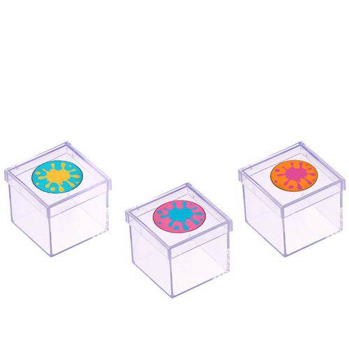 Lembrancinha Mini Caixa de Acrílico Festa das Cores 10 Unidades