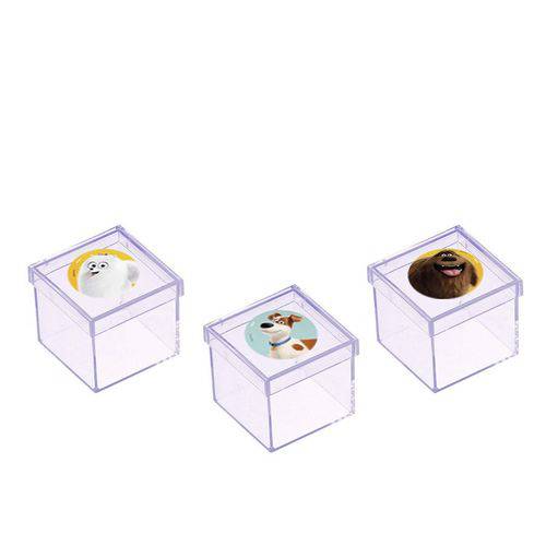 Lembrancinha Mini Caixa de Acrílico Pets - a Vida Secreta dos Bichos 10 Unidades