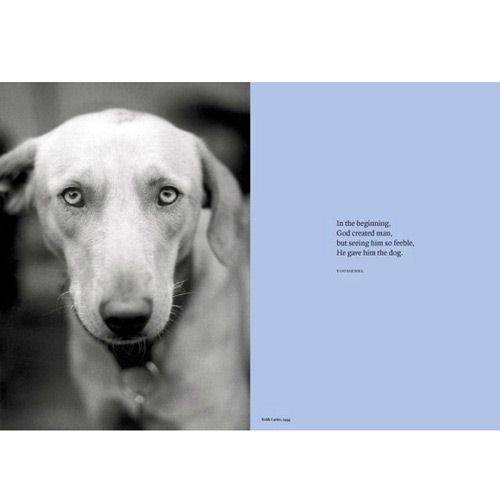 Livro - a Thousand Dogs