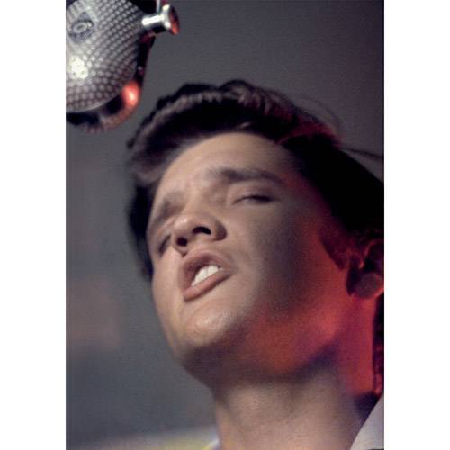 Livro - Alfred Wertheimer: Elvis And The Birth Of Rock And Roll