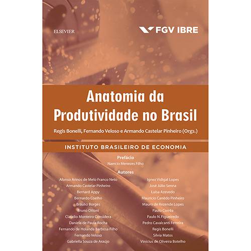 Livro - Anatomia da Produtividade no Brasil
