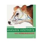 Livro - Anatomia Veterinaria - os Ruminantes