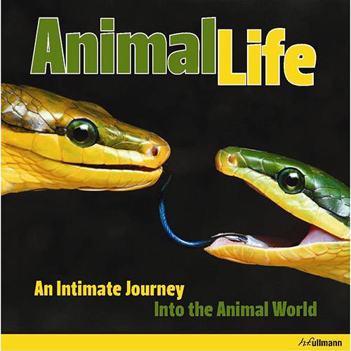 Livro - Animal Life: An Intimate Journey Into The Animal World