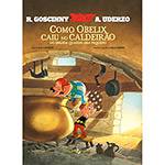 Livro - Asterix: Como Obelix Caiu no Caldeirão do Druida Quando Era Pequeno