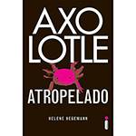 Livro - Axolotle Atropelado