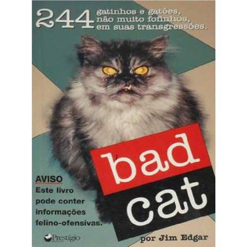 Livro Bad Cat - 244 Fotos Gatos Gatinhos