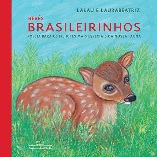 Livro - Bebês Brasileirinhos (Brochura)