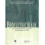 Livro - Bioeletricidade e a Indústria de Álcool e Açucar - Possibilidades e Limites