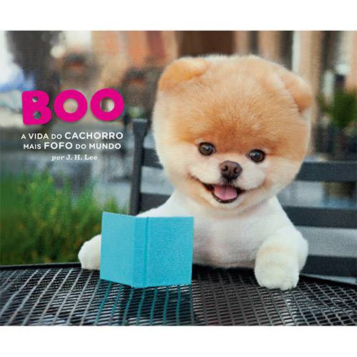 Livro - Boo - a Vida do Cachorro Mais Fofo do Mundo