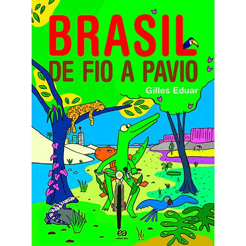 Livro - Brasil de Fio a Pavio (Viagem Pelos Estados Brasileiros)