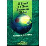 Livro - Brasil e a Nova Economia Global, o