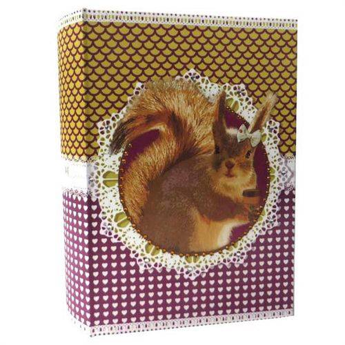 Livro Caixa Pet Pop Esquilo - 30cm X 20cm X 7cm - Trevisan Concept