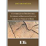 Livro - Contribuição dos Princípios para a Efetividade do Processo de Execução na Justiça do Trabalho no Brasil, a
