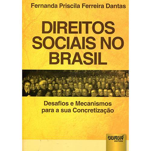 Livro - Direitos Sociais no Brasil