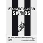 Livro - Grandes Ídolos do Santos
