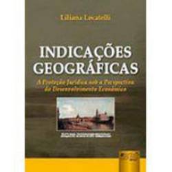 Livro - Indicações Geográficas: Proteção Jurídica Sob a Perspectiva do Desenvolvimento Econômico