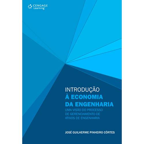 Livro - Introdução à Economia da Engenharia - uma Visão do Processo de Gerenciamento de Ativos de Engenharia